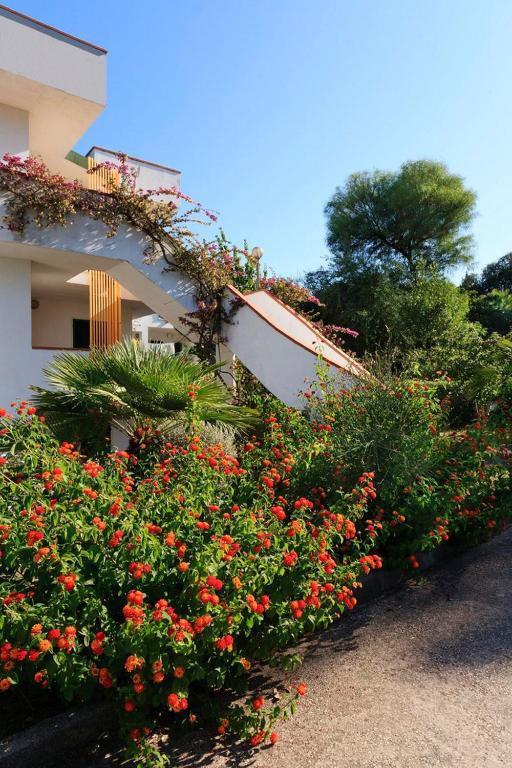 Hotel Villaggio Costa Ripa Rodi Garganico Esterno foto